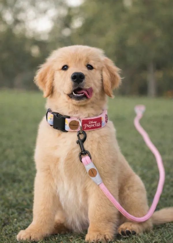 Paweala_Ultra_Durable_Pink_Rope_Dog_Leash_With_Padded_Handle_And_Secure_Clip
