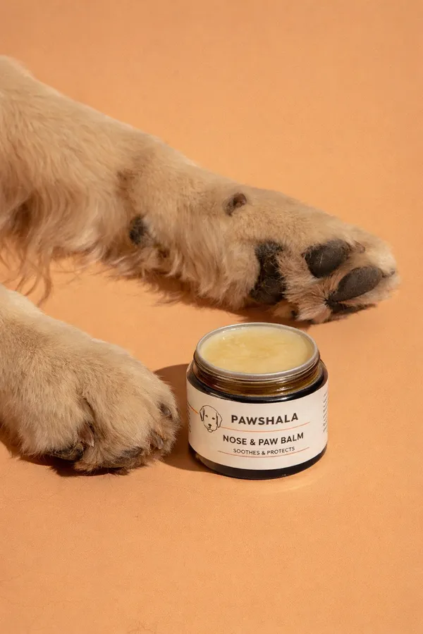 Pawshala_Nose_&_Paw_Balm_For_Dogs_-_Soothes_&_Protects