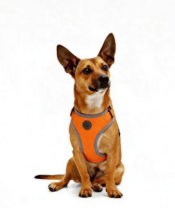 Paw_+_Padded_Adjustable_Dog_Harness_With_Reflective_Trim
