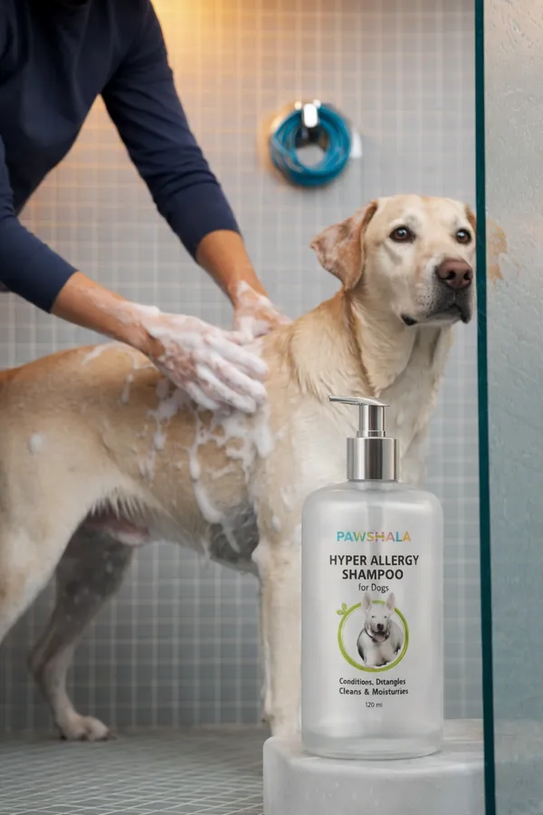 Pawshala_Hyper_Allergy_Shampoo_For_Dogs_-_120Ml