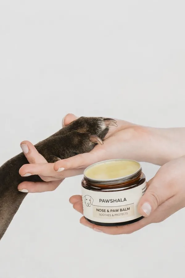 Pawshala_Nose_&_Paw_Balm_For_Dogs_-_Soothes_&_Protects