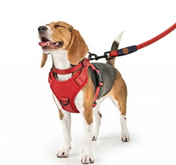 Ultra_Durable_Dog_Leash_-_Red_Rope_Leash_With_Leather_Handle_And_Metal_Clasp_By_Pawsala