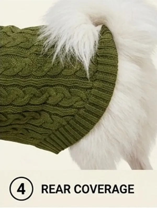Pawshala_Luxe_Sweater_-_Green