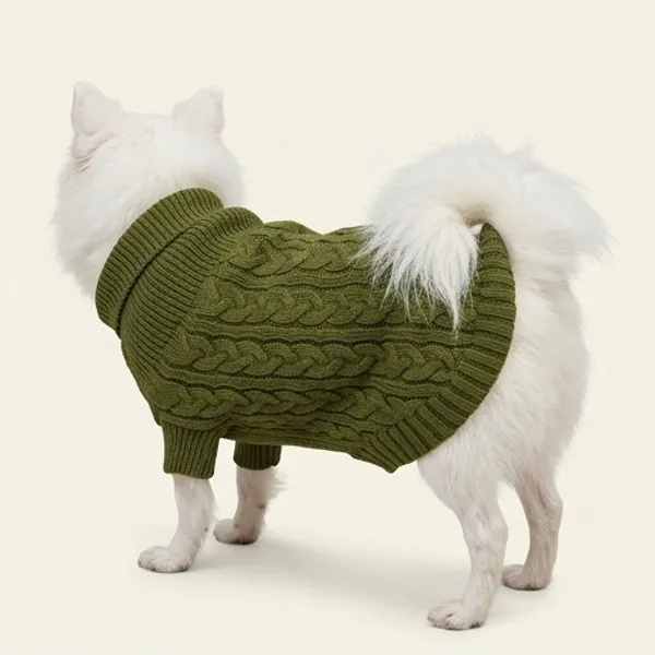 Pawshala_Luxe_Sweater_-_Green