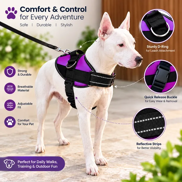 Pawshala_Luxe_Walk_Set:_Premium_Harness,_Collar,_Leash_&_Real-Time_GPS