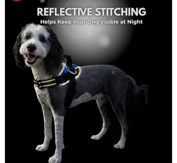 Pawshala_Luxe_Walk_Set:_Premium_Harness,_Collar,_Leash_&_Real-Time_GPS