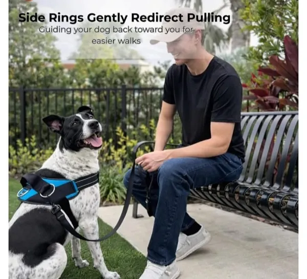 Pawshala_Luxe_Walk_Set:_Premium_Harness,_Collar,_Leash_&_Real-Time_GPS