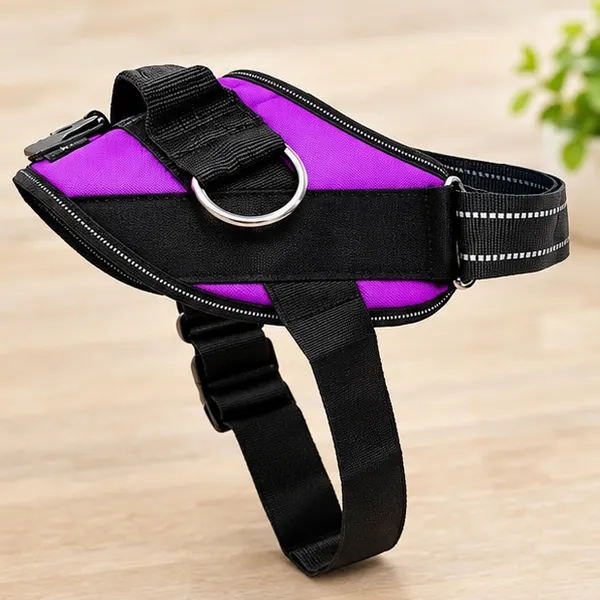 Pawshala_Luxe_Walk_Set:_Premium_Harness,_Collar,_Leash_&_Real-Time_GPS