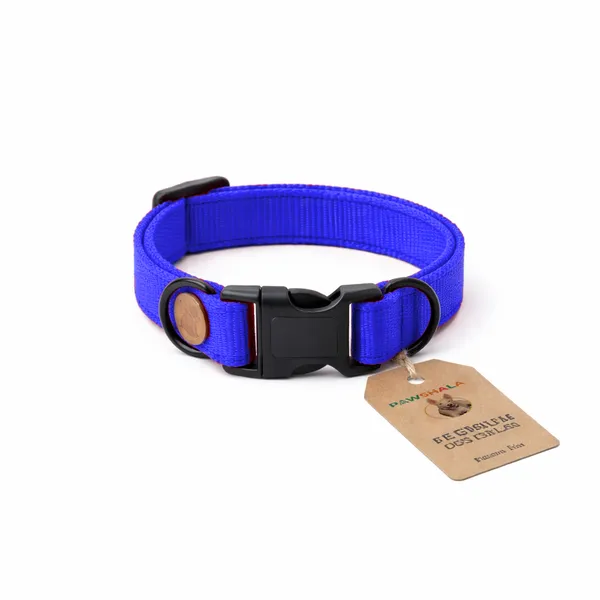 Blue_Adjustable_Dog_Collar_With_Quick-Release_Buckle