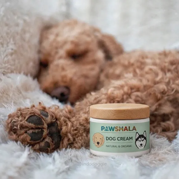 Pawshala_Dog_Treats_Combo_-_Rogan_Josh_Jerky_&_Zenith_Smile_with_Tag_&_Pochi_Cream