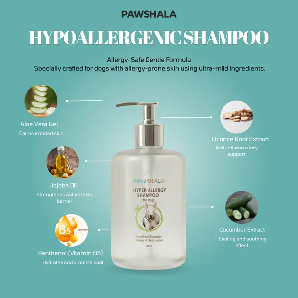 Pawshala_Hyper_Allergy_Shampoo_For_Dogs_-_120Ml