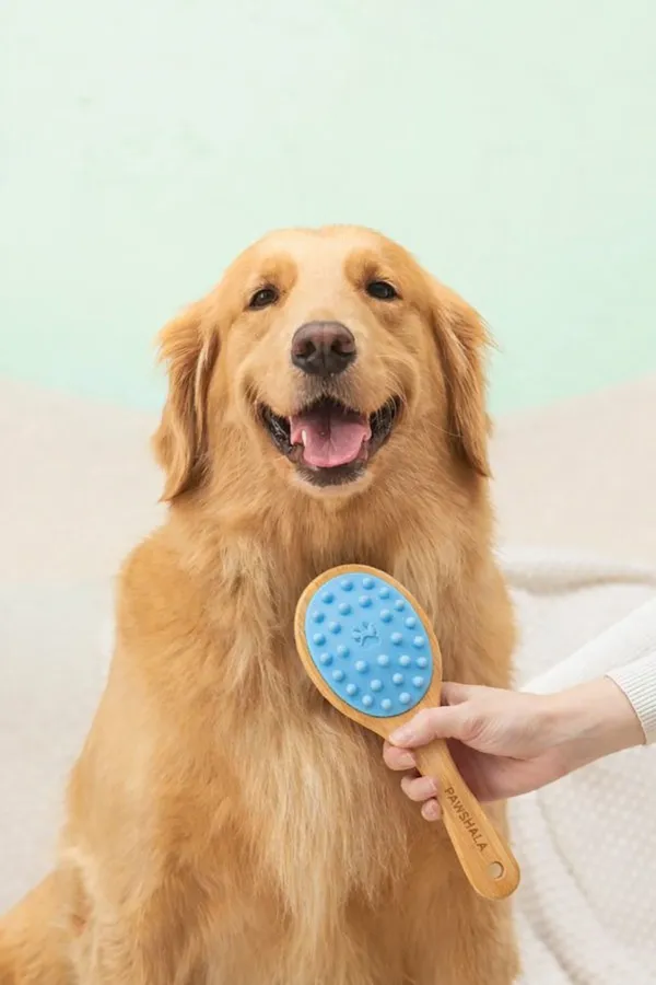Bamboo_Pet_Massage_Brush_With_Soft_Silicone_Bristles