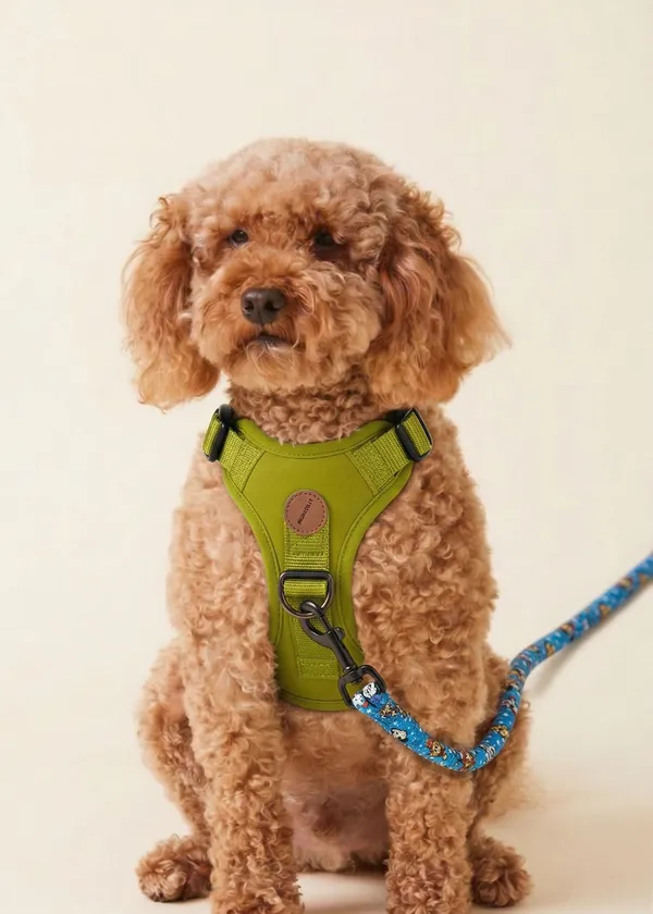 Disney_Classics_Premium_Dog_Leash_-_Blue_With_Character_Print
