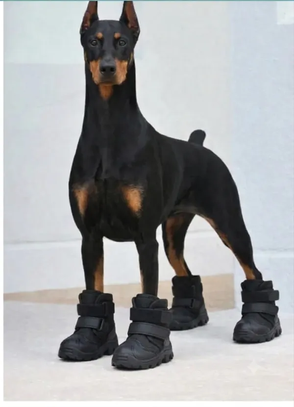Pawshala_All-Weather_Dog_Boots-Black