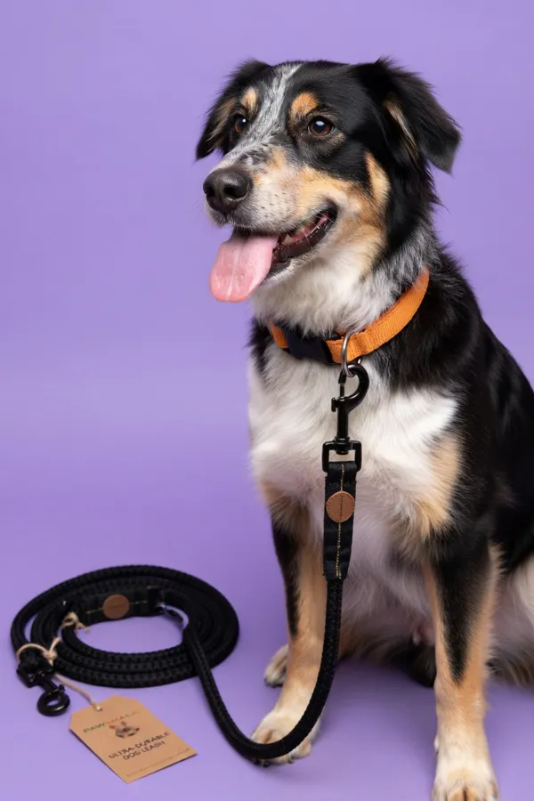 Ultra_Durable_Rope_Dog_Leash_With_Leather_Accents_And_Metal_Clip