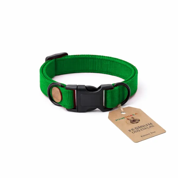 Premium_Green_Dog_Collar_With_Quick-Release_Buckle