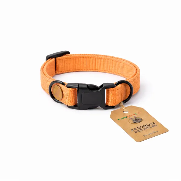 Adjustable_Orange_Nylon_Dog_Collar_With_Quick-Release_Buckle