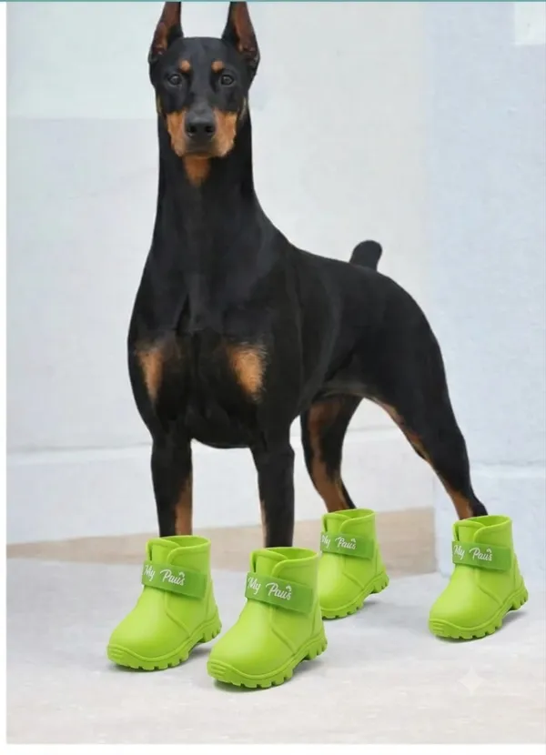 Pawshala_All-Weather_Dog_Boots-Green