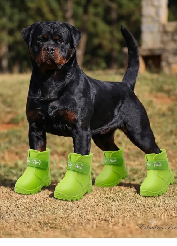 Pawshala_All-Weather_Dog_Boots-Green