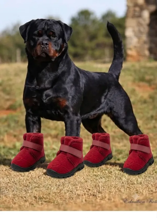 Pawshala_All-Weather_Dog_Boots-Red