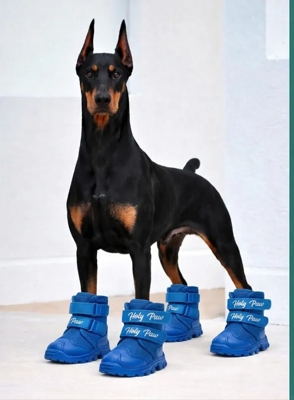 Pawshala_All-Weather_Dog_Boots-Blue
