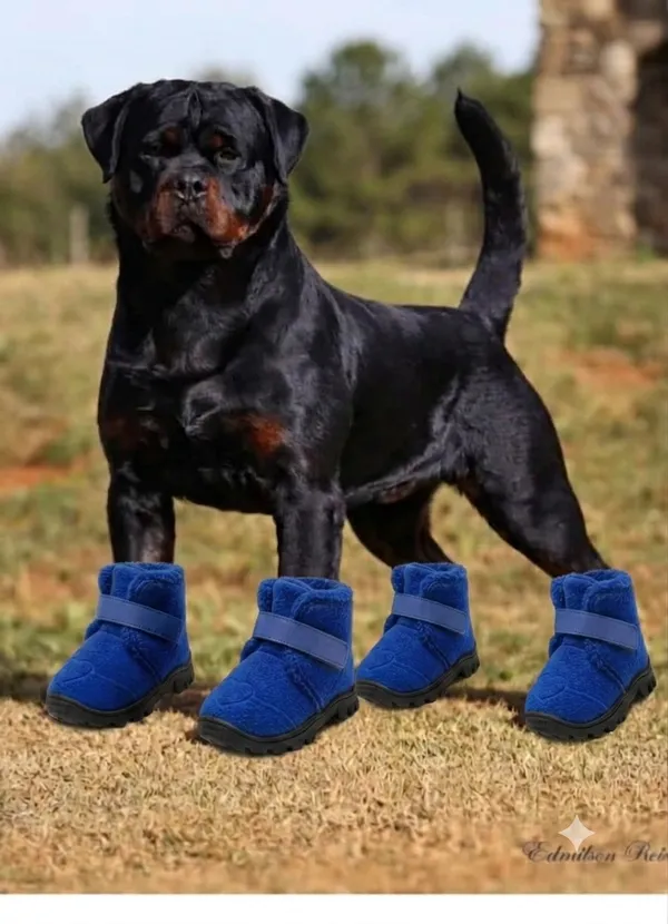 Pawshala_All-Weather_Dog_Boots-Blue