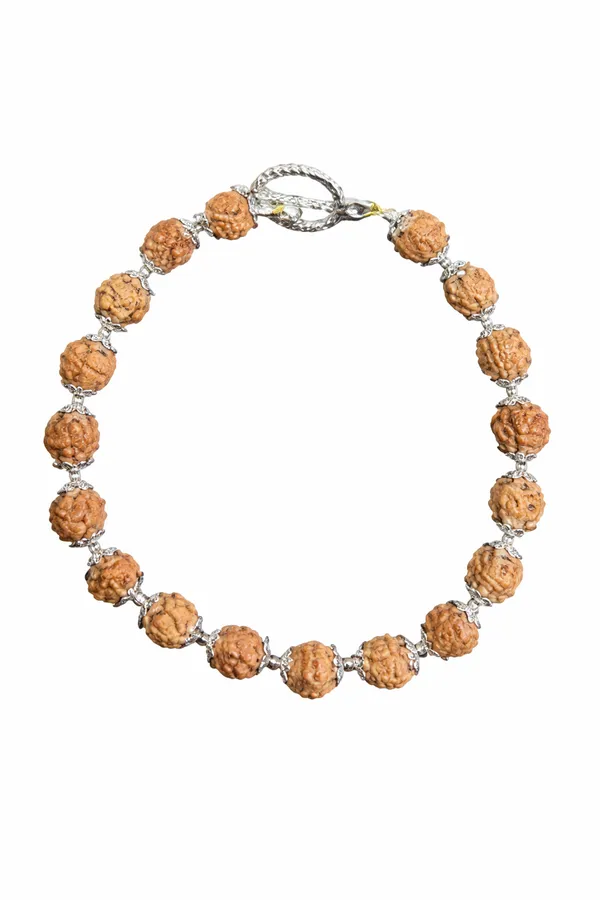 Brown_&_Silver_Premium_Rudra_Essence_Bracelet_For_Unisex