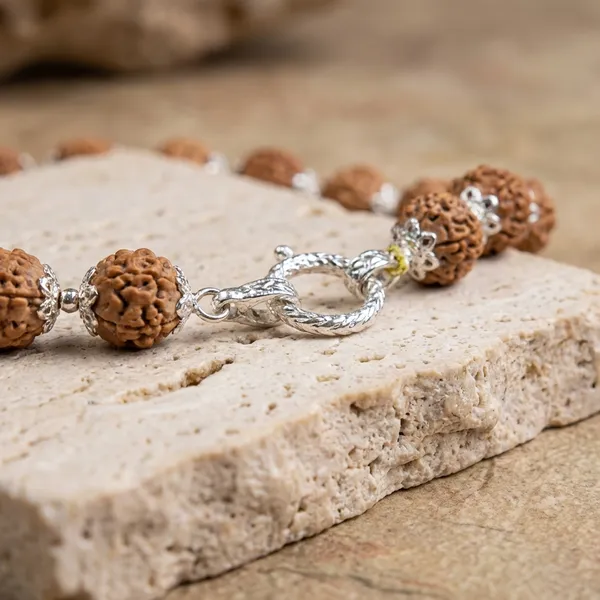 Brown_&_Silver_Premium_Rudra_Essence_Bracelet_For_Unisex