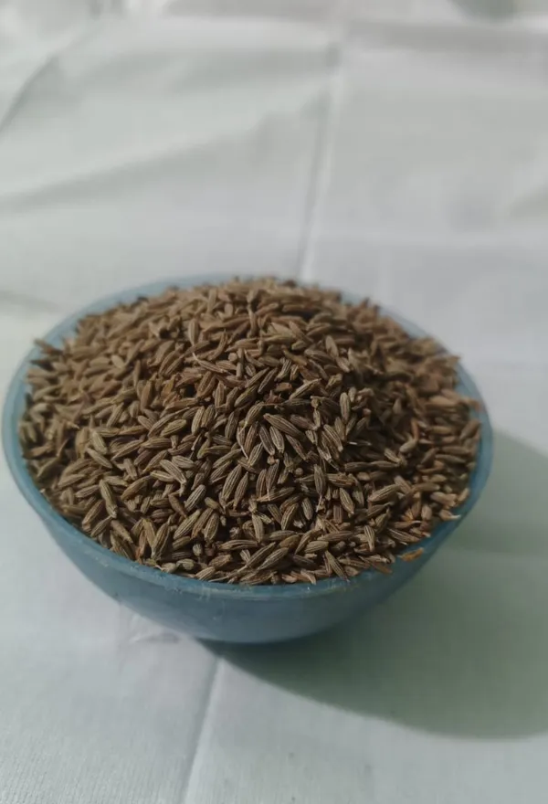 Brown_Premium_Quality_Cumin_Seed_&_Turmeric_For_Cooking_&_Seasoning_(Pack_Of_2)