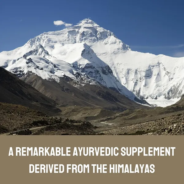 Natural_Himalayan_Kesar_Shilajit/Shilajit_24_Carat_Gold_Resin_20_Gm,_Ayurvedic,_Anti_Fatigue,_Strength,Stamina_Power