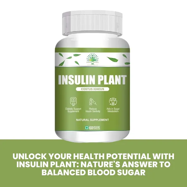 Insulin_Plant_Costus_Igneus_60_Vegetarian_Capsules_Natural_Gluten_Free