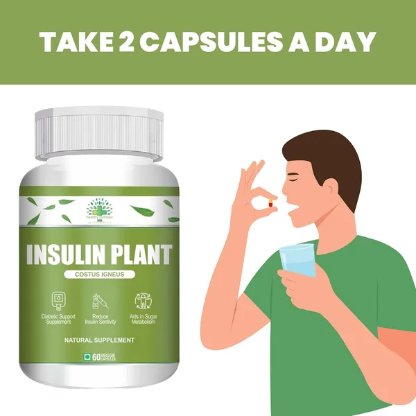 Insulin_Plant_Costus_Igneus_60_Vegetarian_Capsules_Natural_Gluten_Free
