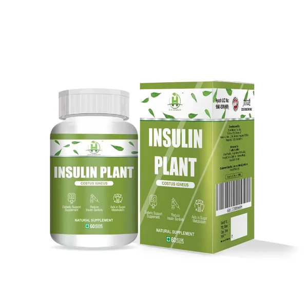 Insulin_Plant_Costus_Igneus_60_Vegetarian_Capsules_Natural_Gluten_Free