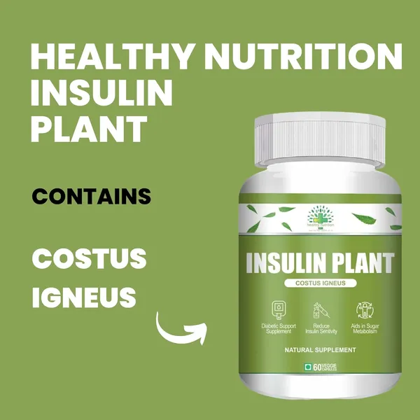 Insulin_Plant_Costus_Igneus_60_Vegetarian_Capsules_Natural_Gluten_Free