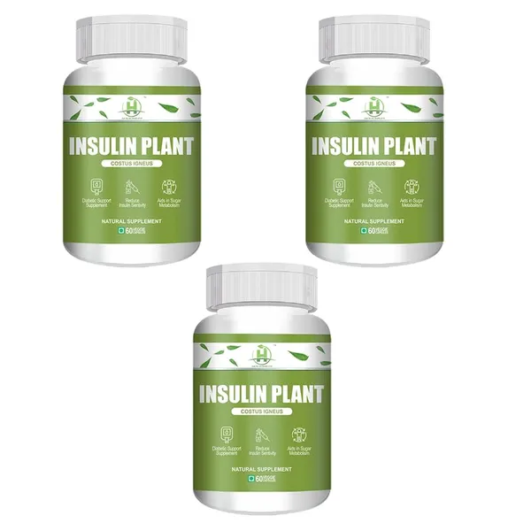 Insulin_Plant_Costus_Igneus_60_Vegetarian_Capsules_Natural_Gluten_Free_Pack_Of_3