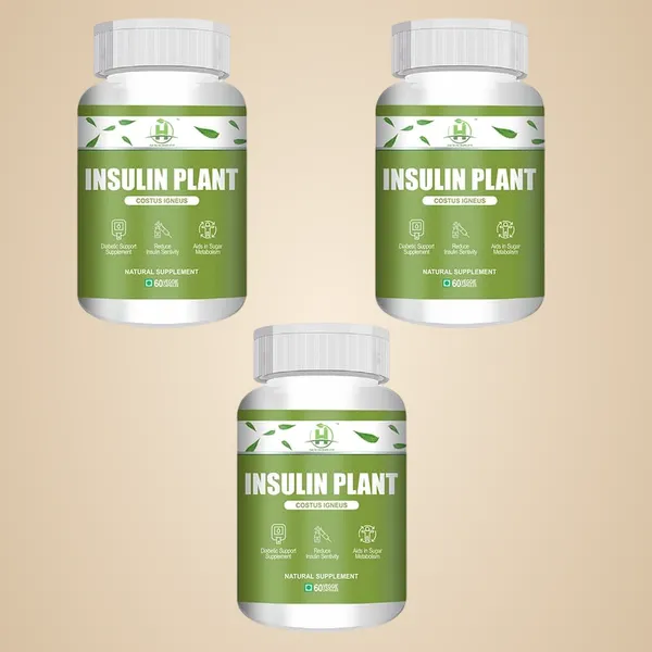 Insulin_Plant_Costus_Igneus_60_Vegetarian_Capsules_Natural_Gluten_Free_Pack_Of_3