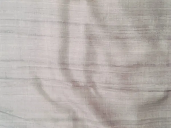 Pale_Grey_Color_Fancy_Saree