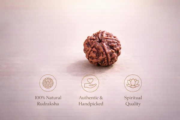 5_Mukhi_Rudraksha_Sacred_Bead