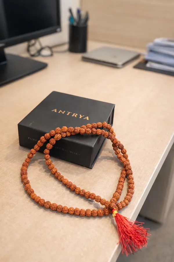 Rudraksha_108_Beads_Meditation_Mala