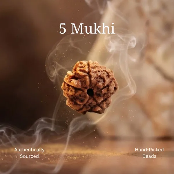 5_Mukhi_Rudraksha_Bead