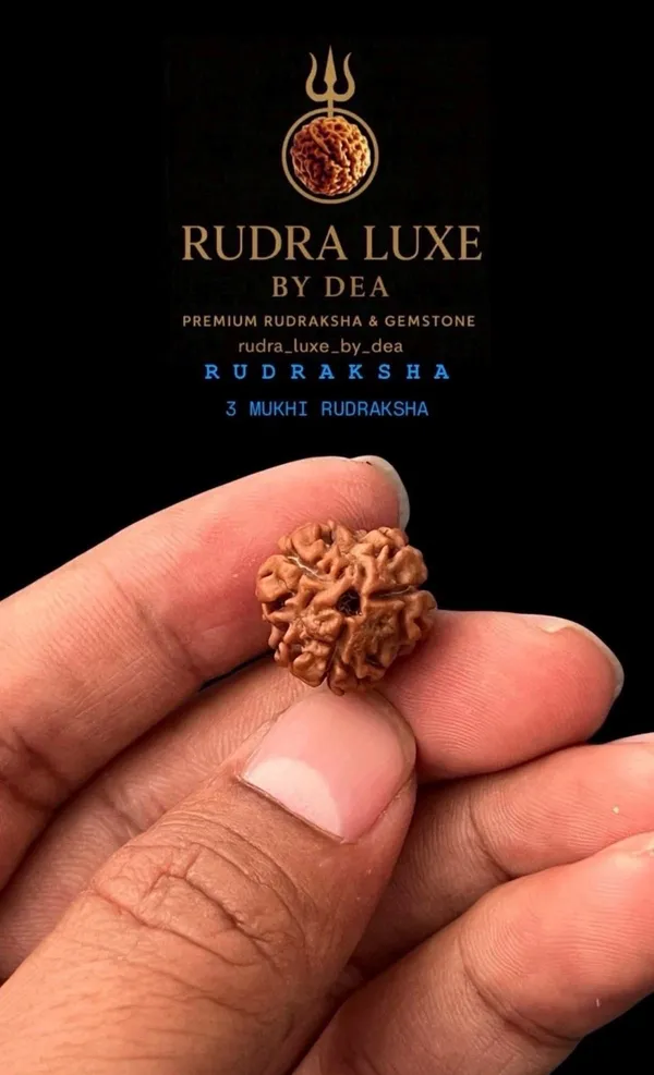 Rudra_Luxe_3_Mukhi_Rudraksha_Bead