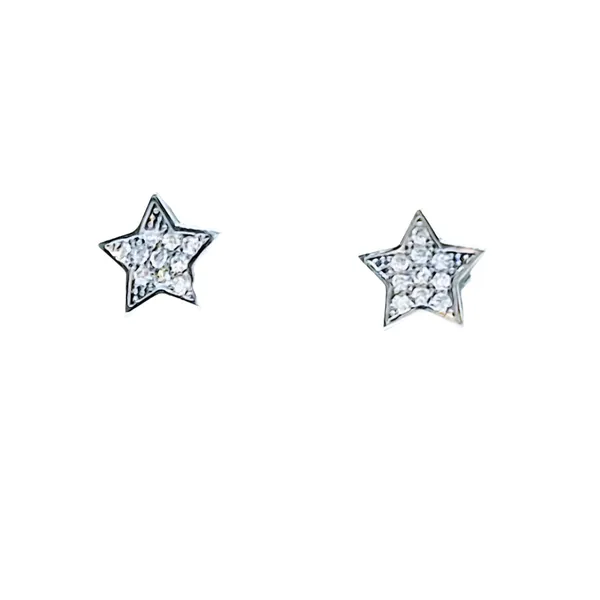 Silver_925_Silver_Earrings_For_Women