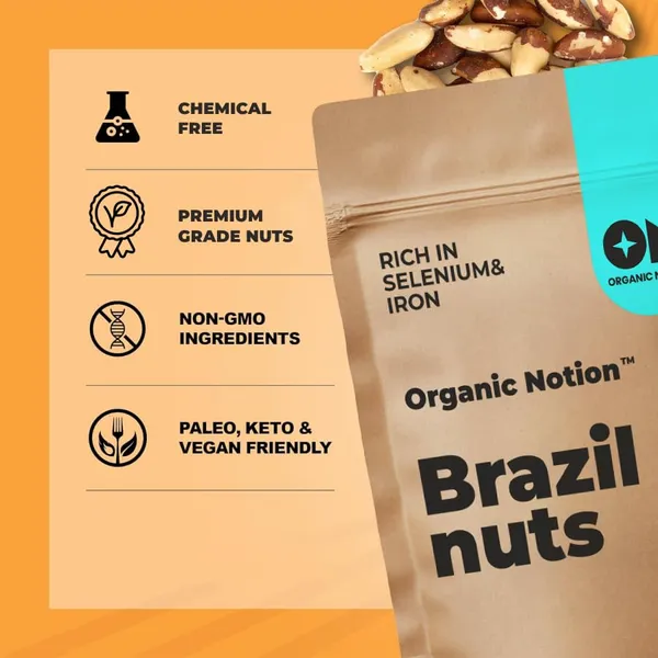 Organic_Notion_Brazil_Nuts_with_Pecan_Nuts_Raw_And_Unflavoured_Pack_of_2