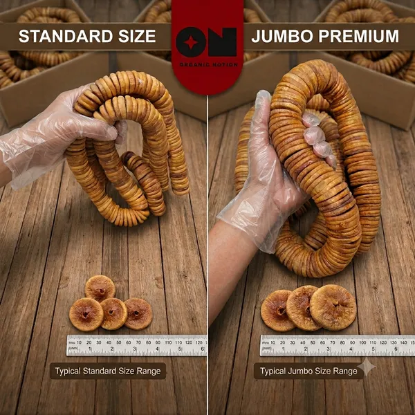 Organic_Notion_JUMBO_Sized_Dried_Figs_Natural_Afghani_Anjeer_(Biggest_Size)_Raw_Unflavoured_Ready_to_Eat_Dry_Fruit_for_Snacking_Cooking_Baking