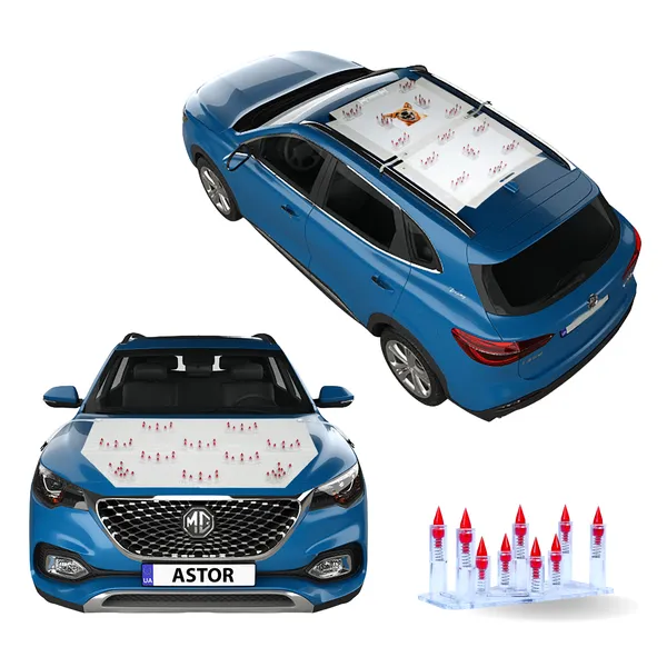 MG_ASTOR_Red_Car_Protection_Spikes_|_Smart,_Safe_&_Humane_way_to_Deter_Animals_|_Roof_&_Bonnet_Protection_from_Dogs_&_Monkeys_|_Magnetic_Holding_&_Box_Closure_|_Anti-Theft_&_Scratch_Protection_|_Foldable_In-Built_Plastic_Box