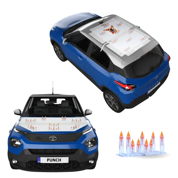 TATA_MOTOR_PUNCH_Orange_Car_Protection_Spikes_|_Smart,_Safe_&_Humane_way_to_Deter_Animals_|_Roof_&_Bonnet_Protection_from_Dogs_&_Monkeys_|_Magnetic_Holding_&_Box_Closure_|_Anti-Theft_&_Scratch_Protection_|_Foldable_In-Built_Plastic_Box