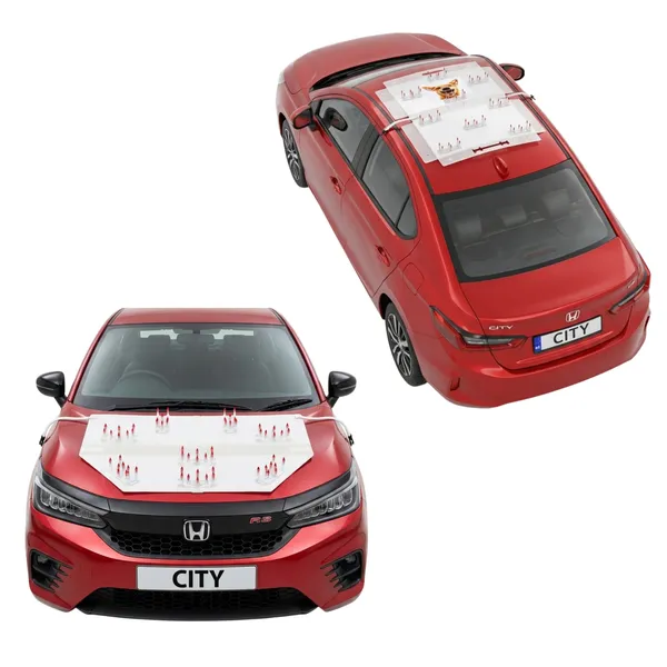 HONDA_CITY_Red_Car_Protection_Spikes_|_Smart,_Safe_&_Humane_way_to_Deter_Animals_|_Roof_&_Bonnet_Protection_from_Dogs_&_Monkeys_|_Magnetic_Holding_&_Box_Closure_|_Anti-Theft_&_Scratch_Protection_|_Foldable_In-Built_Plastic_Box