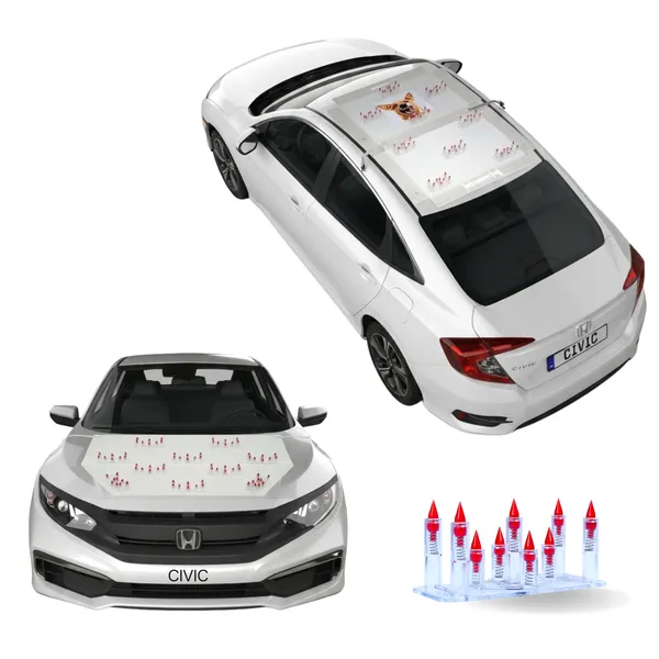 HONDA_CIVIC_Red_Car_Protection_Spikes_|_Smart,_Safe_&_Humane_way_to_Deter_Animals_|_Roof_&_Bonnet_Protection_from_Dogs_&_Monkeys_|_Magnetic_Holding_&_Box_Closure_|_Anti-Theft_&_Scratch_Protection_|_Foldable_In-Built_Plastic_Box