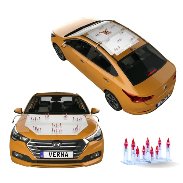 Hyundai_Verna_Old_Red_Car_Protection_Spikes_|_Smart,_Safe_&_Humane_way_to_Deter_Animals_|_Roof_&_Bonnet_Protection_from_Dogs_&_Monkeys_|_Magnetic_Holding_&_Box_Closure_|_Anti-Theft_&_Scratch_Protection_|_Foldable_In-Built_Plastic_Box