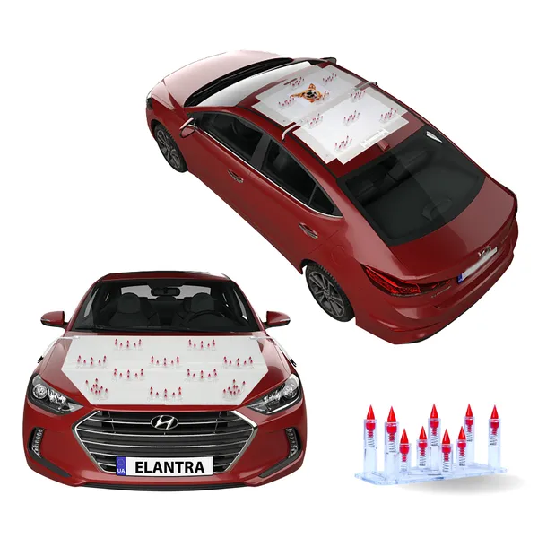 HYUNDAI_ELANTRA_Red_Car_Protection_Spikes_|_Smart,_Safe_&_Humane_way_to_Deter_Animals_|_Roof_&_Bonnet_Protection_from_Dogs_&_Monkeys_|_Magnetic_Holding_&_Box_Closure_|_Anti-Theft_&_Scratch_Protection_|_Foldable_In-Built_Plastic_Box